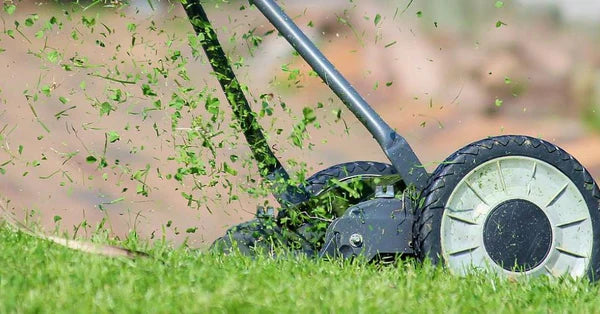 Accu-gedreven grasmaaier die gras maait