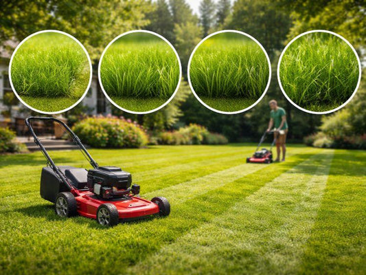 Hoe hoog gras maaien: complete gids voor de juiste maaihoogte