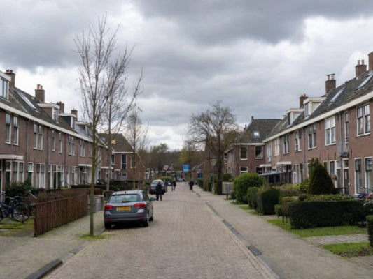 Nederlandse steden
