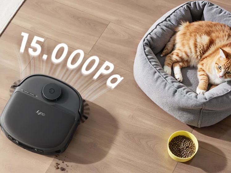 katten-die-niet-verharen