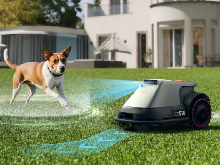 Beste grasmaaier voor grote tuin