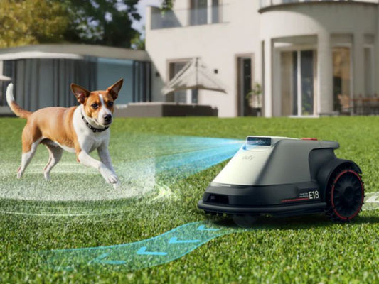 Beste grasmaaier voor grote tuin