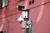 Hoe vind ik het IP-adres van een camera?